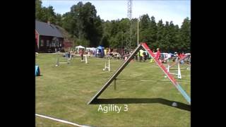 160709 Karlskrona Agility Ziina