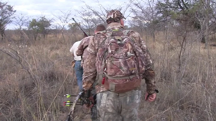 South Africa Archery Cape Buffalo Hunt