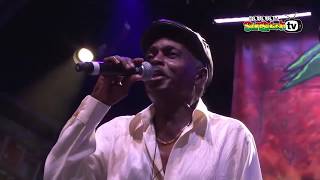 THE PIONEERS ft LLOYD PARKS & We The People Band live @ Main Stage 2015