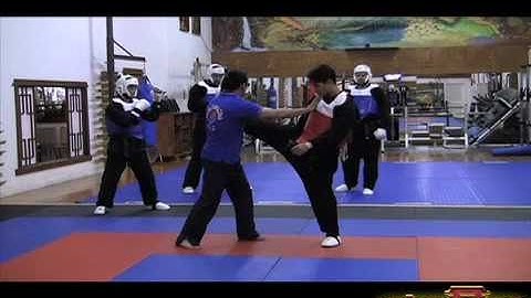 Kick Defense & Counters Day 2 - Cyberdojang.com Mastermind Class