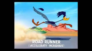 EL CORRECAMINOS Y WILE E. COYOTE  ROAD RUNNERS