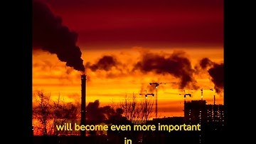 Using AI to Tackle Urban Rat Infestations | The Brainwave Chronicles