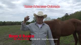 land for sale in Texarkana Arkansas