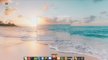 Cairo Dock on Linux Mint