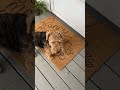 Easy DIY Doormat With Acrylic Paint