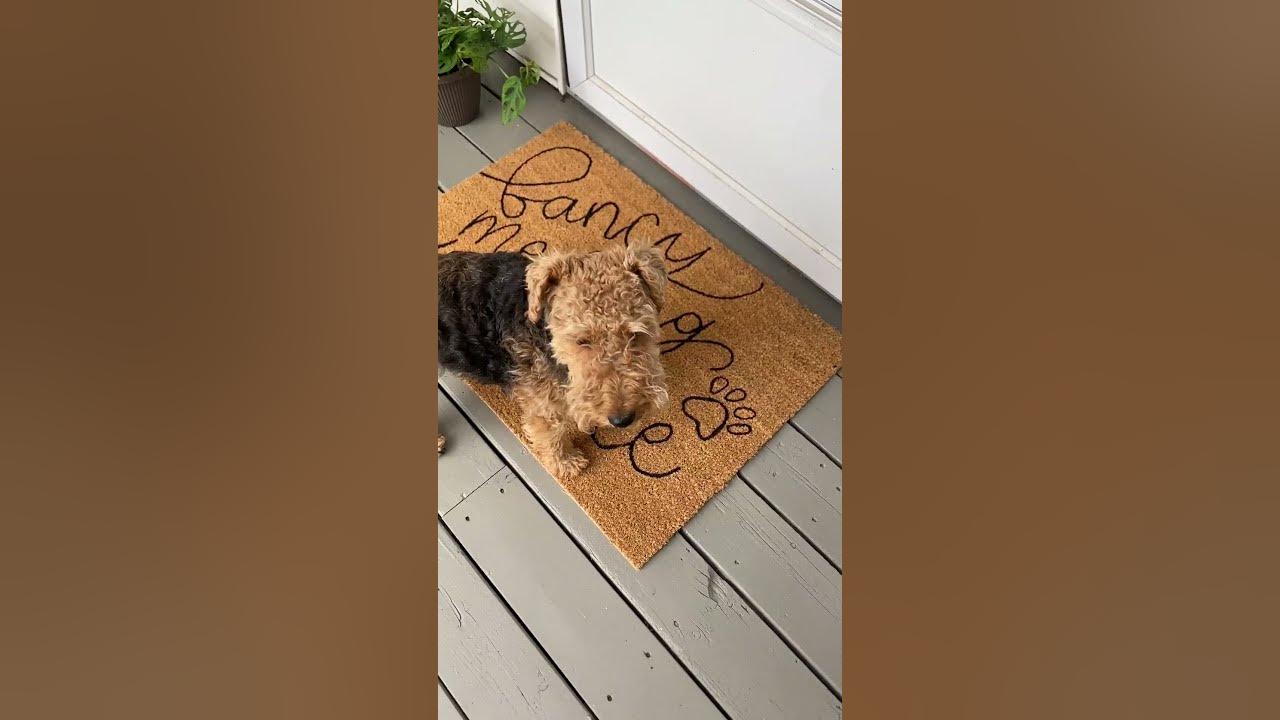 How to Paint a Coir Doormat - Makely