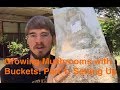 Growing Oyster Mushrooms in Buckets Part 1: Setting Up