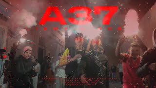 ISMAIL PDR - أ37 FT DON.B, Mancho, Zero 39, Montalite, Joha 37, Luvwizz, Zbaytch,Rebel(officiel M/V)