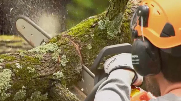 Springfield’s Convoy of Hope’s chainsaw team assisting homeowners