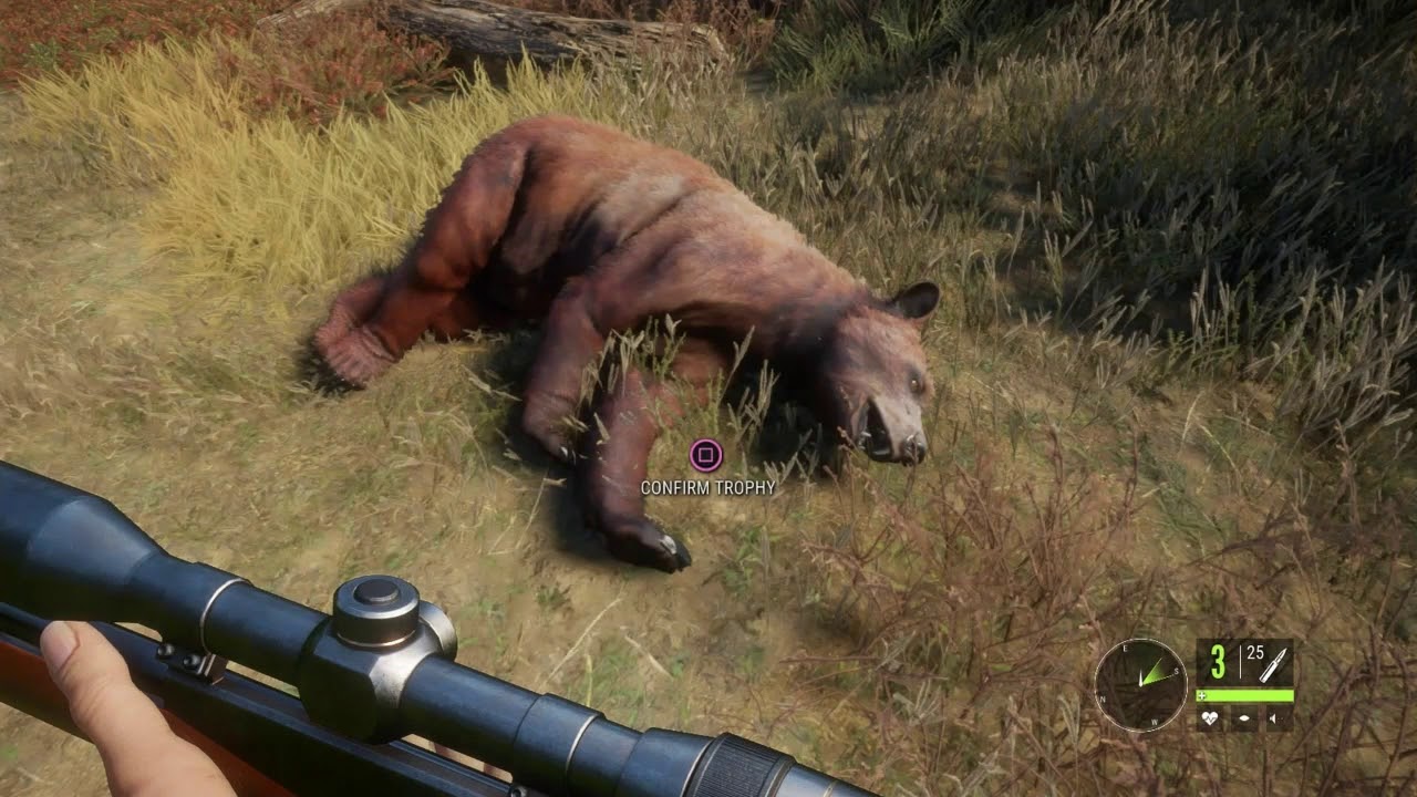 Well here it is I have put together all of my Best Animal Kills from The Hu...