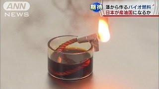 日本が産油国になる日が？藻から作るバイオ燃料（13/11/24）