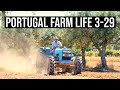 Living the GOOD LIFE on a FARM in Central Portugal | PORTUGAL FARM LIFE S3-E29 ☀