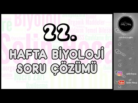 22. Hafta Biyoloji Soru Çözümü