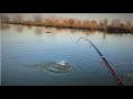 Pecanje šarana na plovak | Fishing Carp on float 02.03.2021.