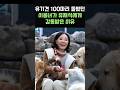 유기견 100마리 돌보던 배우 이용녀, 유재석에게 감동받은 사연 🐶