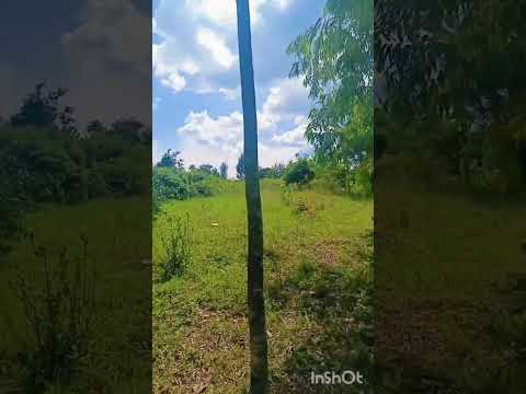 Ubuso22000 M12 Negotiable Hafite Metelo 140 15 Umurenge Nyamata Akagari Murama Umudugudu RuTukura