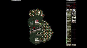 Command & Conquer: Red Alert 1 - Intense FFA