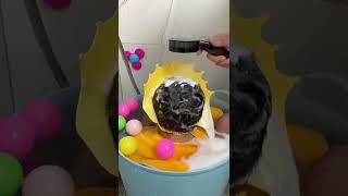 Cool Family Should Buy Toys For Play