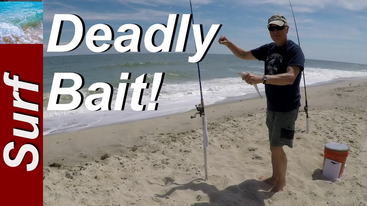 Sand flea/mole crab blanching for surf fishing bait, video 4 of 8. Tig
