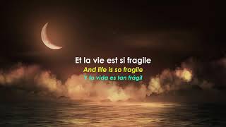 Video thumbnail of "Luc De Larochellière - Si Fragile  (French Song with Subtittles)"