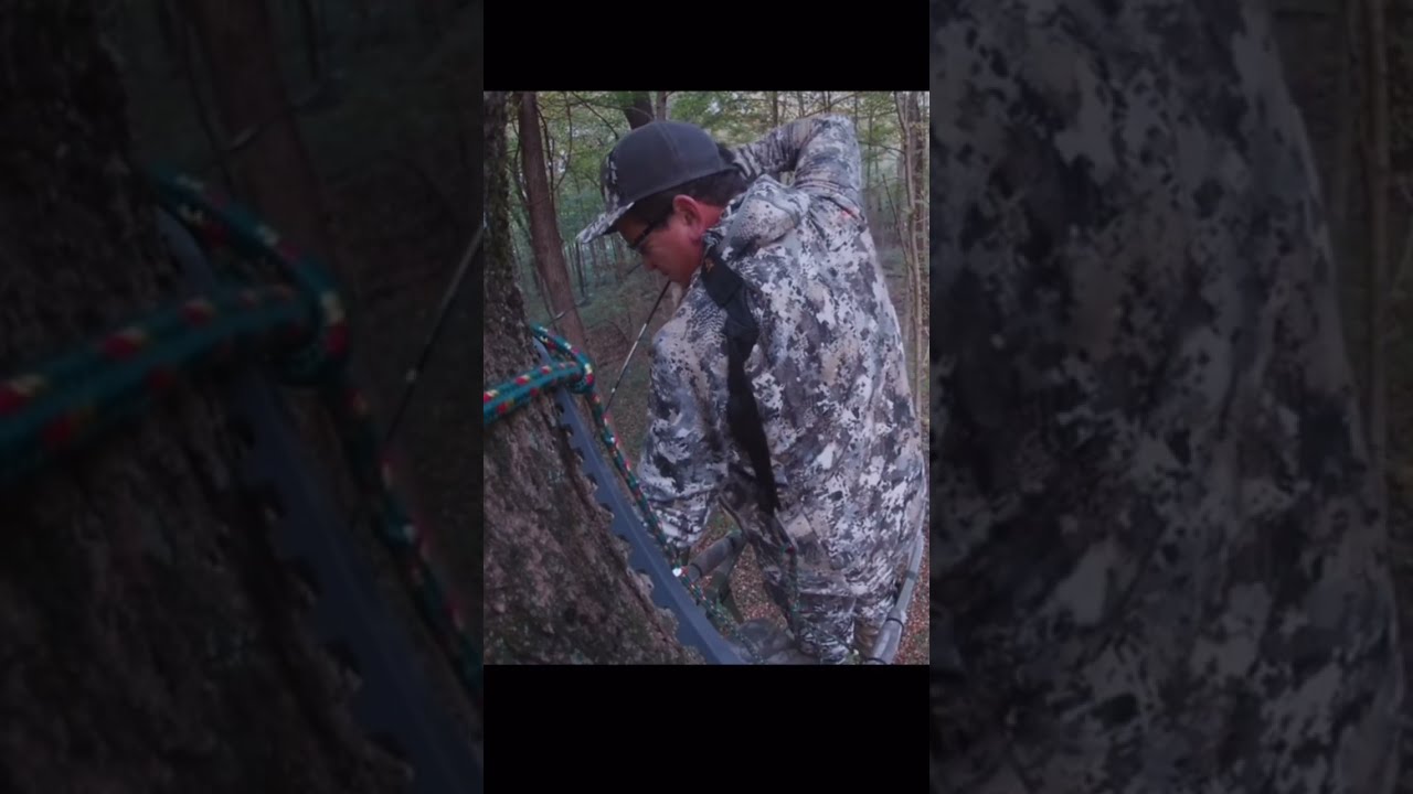 He Shot A Bigfoot Hunter Bowhunting Hunting Hunt Wild Shorts Youtubeshorts Short