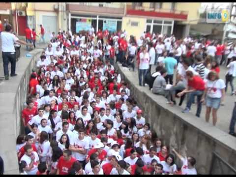 ყრილობა თბილისშიც გაიმართა