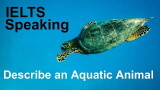 Describe an aquatic animal | IELTS Speaking | January to April 2021 -  YouTube