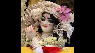 Haridas ke Bihari Lena Khabar Hamari Jay Shri Radhe