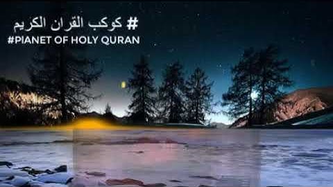 ارح مسامعك تلاوة مريحة للقارئ محمد كمال هاشم