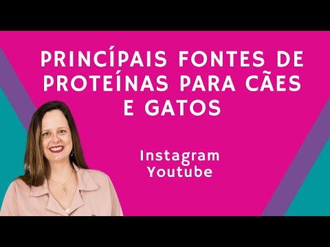 Vídeo:  Quando um cão desenvolve uma mucocele da vesícula biliar, a bile torna-se backup e tem dificuldade de fluir através do ducto biliar e no intestino. Isso faz com que o cão se sinta