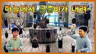국립과천과학관 곤충생태관에 곤충비가 내려~ [승형제TV] Gwacheon National Science Museum INSECTARIUM in Korea