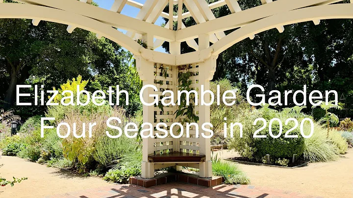 Elizabeth Gamble Garden, Palo Alto - flowers of 4 ...