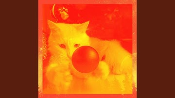 Warm Moods for Lazy Cat Days