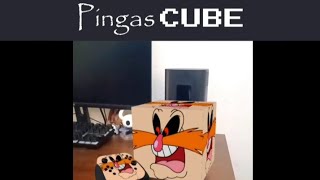 The Pingas Cube