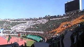 Tifo Green Boys,  Raja vs Ock 2 - 1 du 21-05-2011 raja champions 2010-2011.
