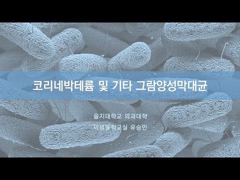 제23장 코리네박테륨20200903