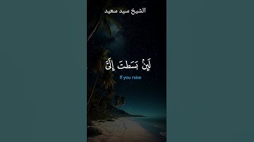 القارئ الشيخ سيد سعيد #quran #القران #اكسبلور