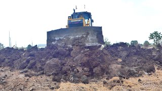 Collaborate starting work!! dump truck and bulldozer with excavator