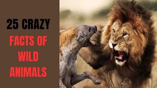 25 Crazy Facts of Wild Animals: Exploring the Fascinating World of Wildlife - Black Cat