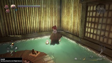 Nurikabe Demo (Nioh 2)