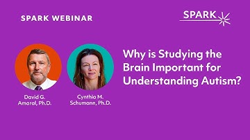 Why is Studying the Brain Important for Understanding Autism?