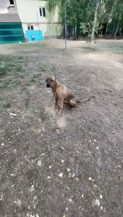youtube.com