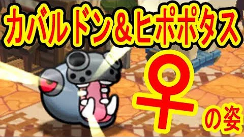 ポケ とる ヒポポタス