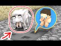 Monster School : BABY HEROBRINE NEED HELP - Sad Story - Minecraft Animation