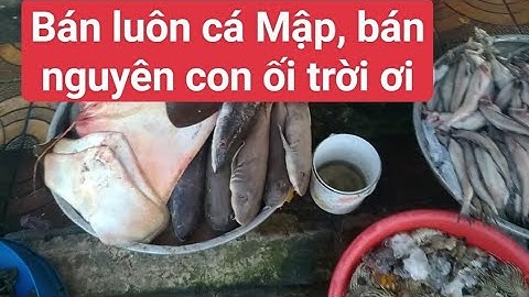 Cảng Trần Đề Sóc Trăng - Chợ Hải Sản. Tôm cua ghẹ ốc mưc bao la