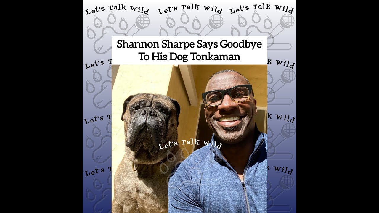 Former Football Player Shannon Sharpe's Dog Tonkaman Has Passed Away