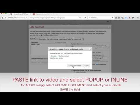 REDCap: Embed Video/Audio Into Instrument
