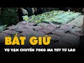 Bt gi v vn chuyn 70kg ma ty t lo vo vit nam