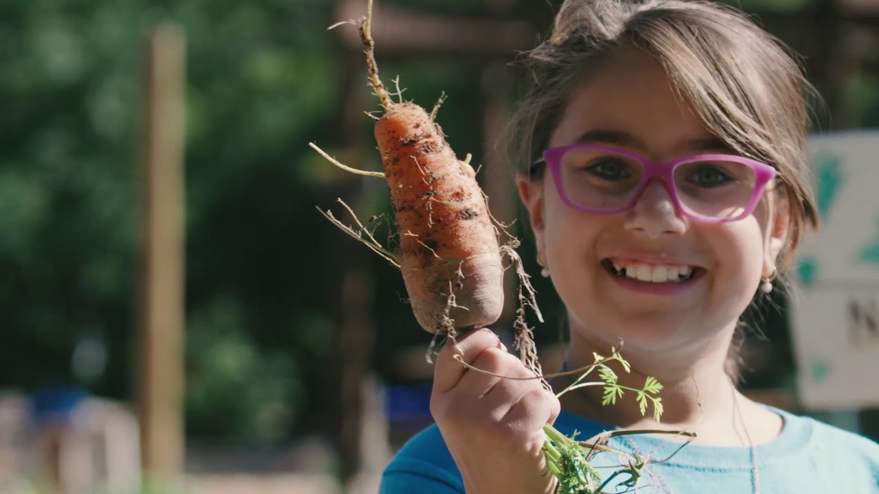 Scotts Miracle-Gro Sales Representative Reviews | Glassdoor