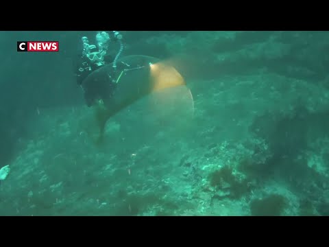 Vidéo: Invités Sous L'eau, Ou OVNI Océaniques - Vue Alternative